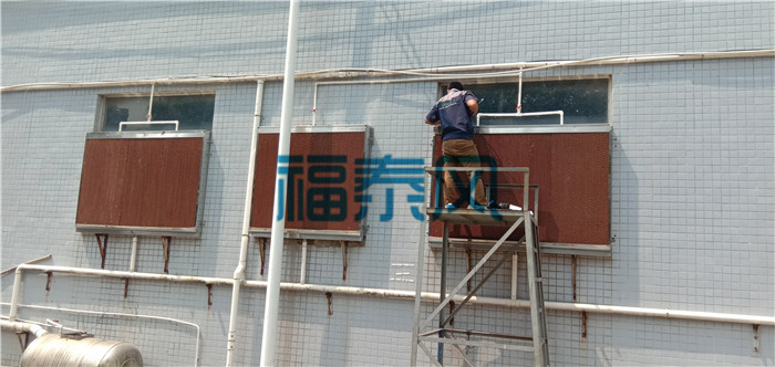 黄瓜视频下载官网/水簾紙