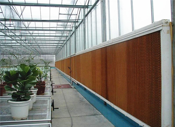 黄瓜视频IOS下载安裝容易嗎？