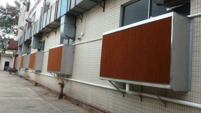 水簾降溫：溫室的清涼守護者